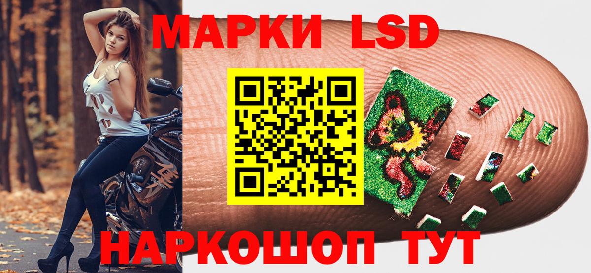 Наркотические марки 1,5мг  Вход с VPN  Гусев 