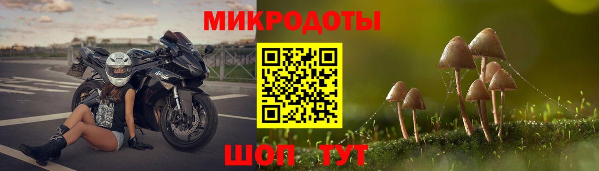 Гусев  Псилоцибиновые грибы мицелий  Вход с VPN 